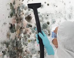 Austintown, OH Mold Removal Company